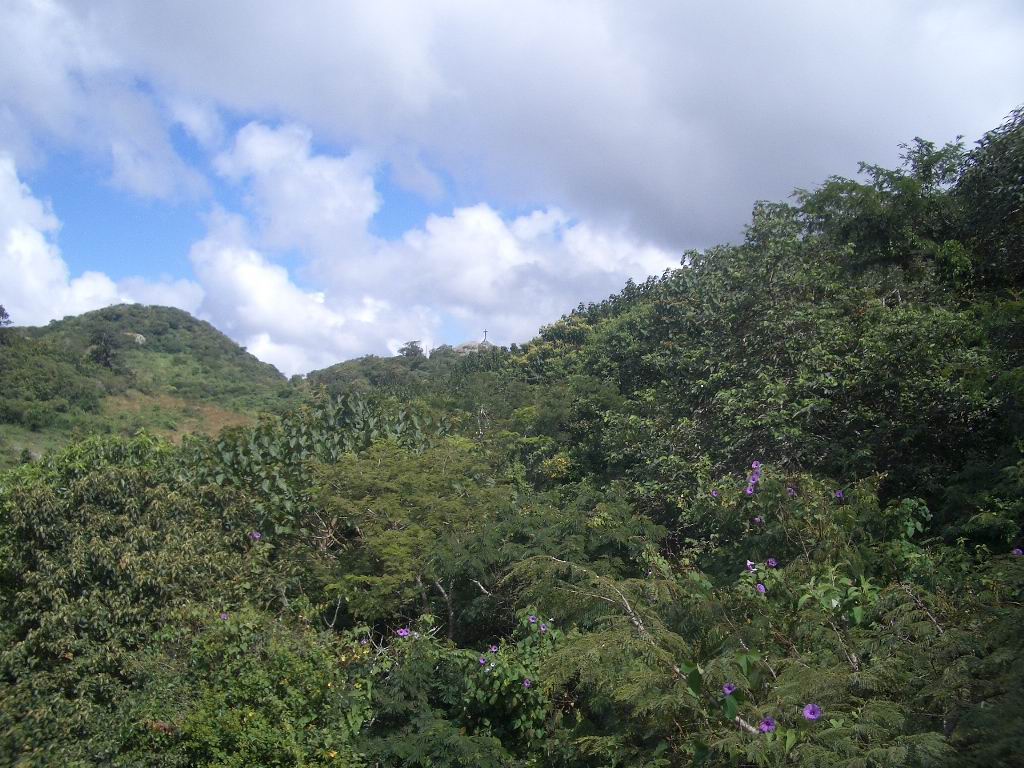Wolken &uuml;ber den Magroven
