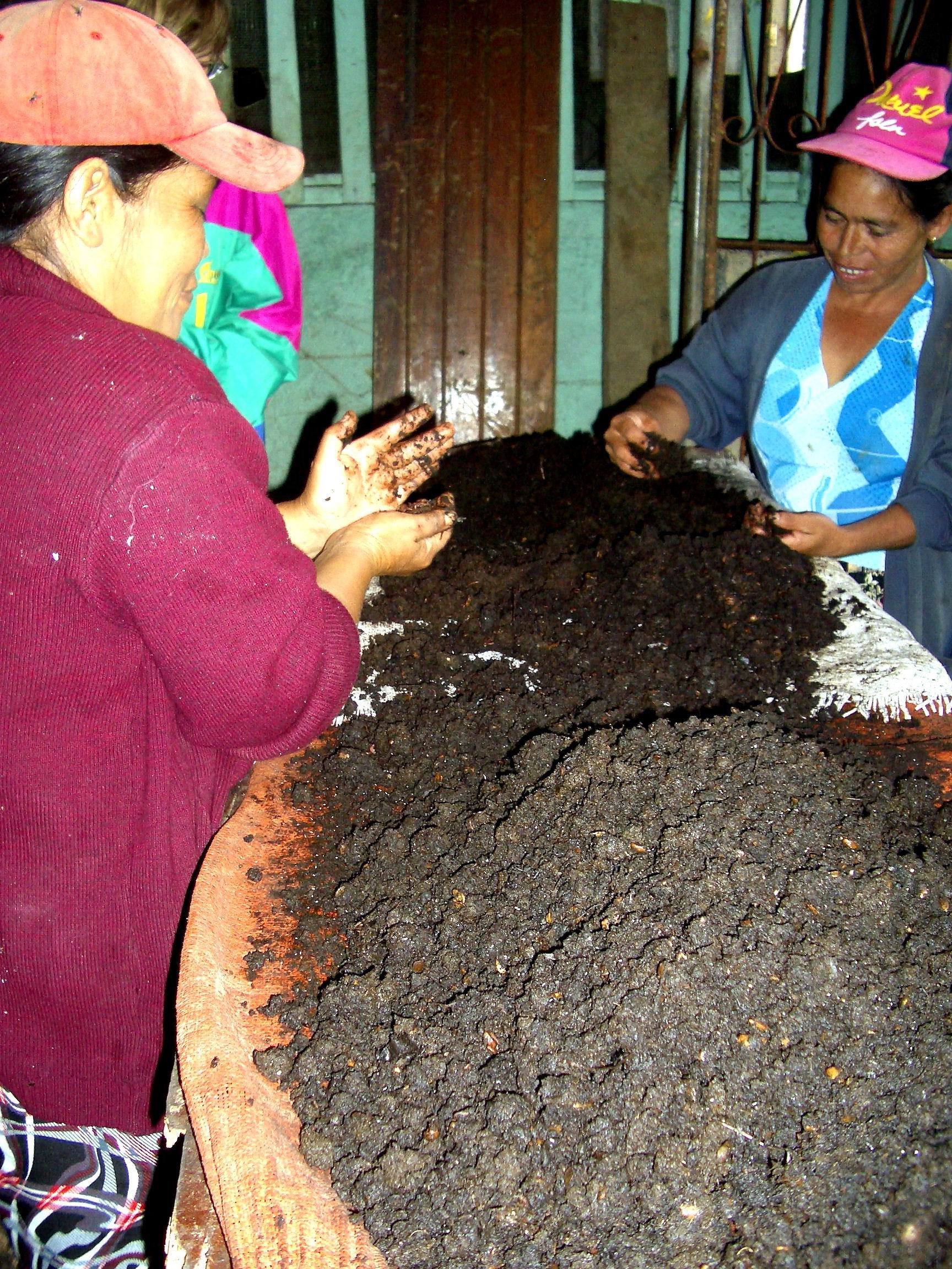 caf&eacute; org&aacute;nico