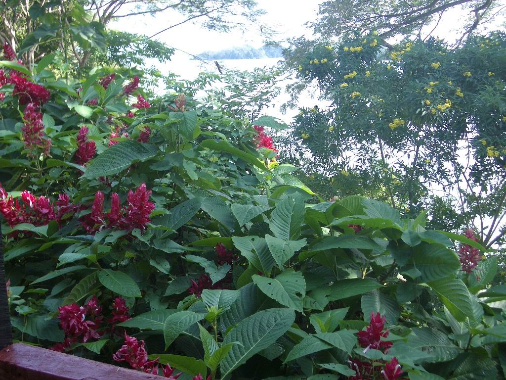 Blumen auf dem Gel&auml; nde des Hotels