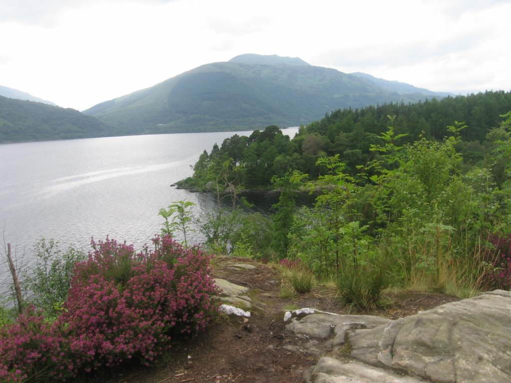Loch Lomond zwischen Rowardennan und Inverarnan