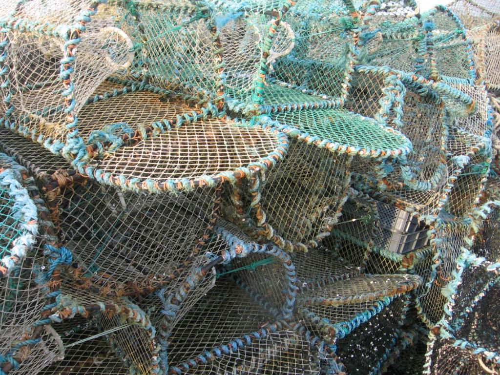 Im Hafen von Broadford